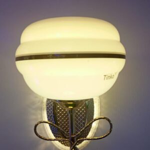LED WALL BRACKET LIGHT